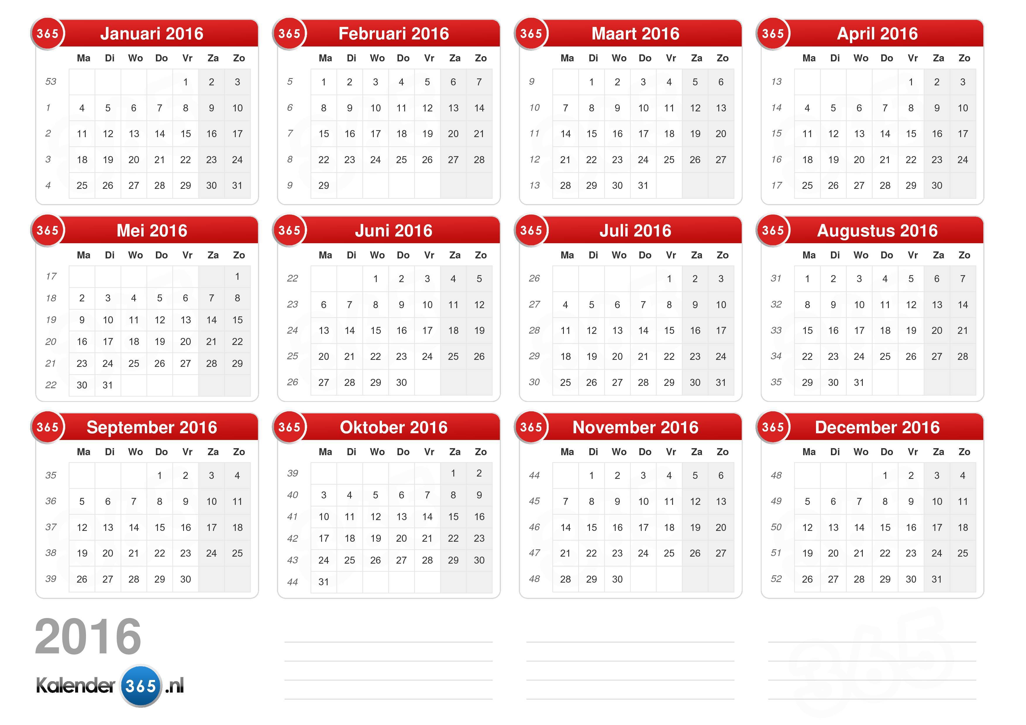 compleet haspel biologie Kalender 2016